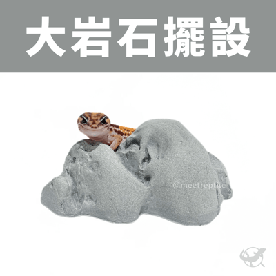 爬蟲岩石擺設1