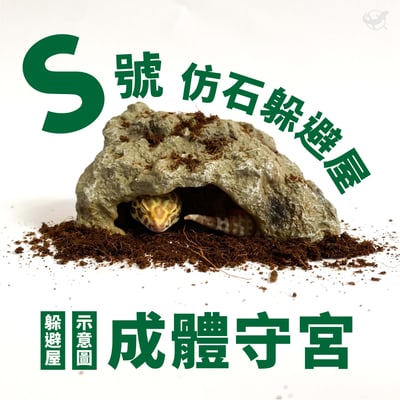 爬蟲仿石躲避屋 S／M／L3