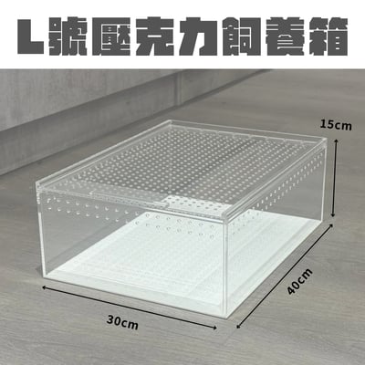 爬蟲壓克力飼養箱7