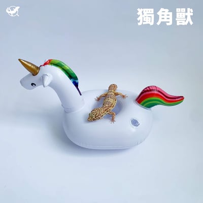 爬蟲造型泳圈16