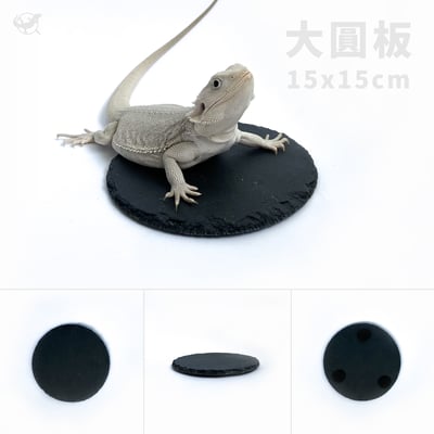 爬蟲磨甲岩板11