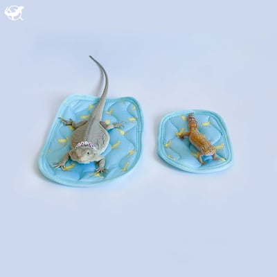 爬蟲長方形窩墊3