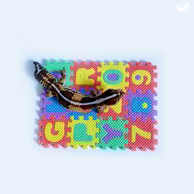 守宮迷你巧拼地墊7