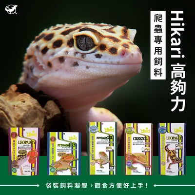 高夠力 爬蟲專用飼料1