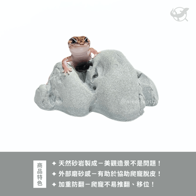 爬蟲岩石擺設4