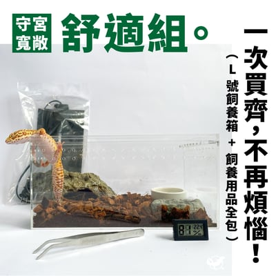 守宮寬敞舒適組1