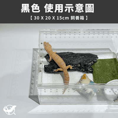 仿真樹洞躲避屋4