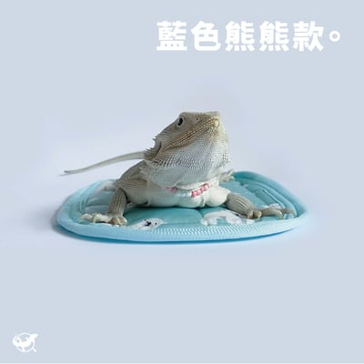 爬蟲長方形窩墊6