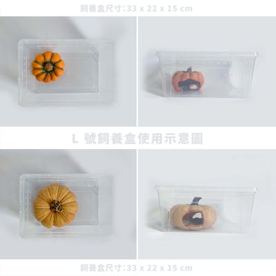 爬蟲南瓜躲避屋5