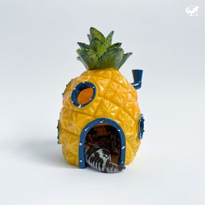 守宮飼養入門組9