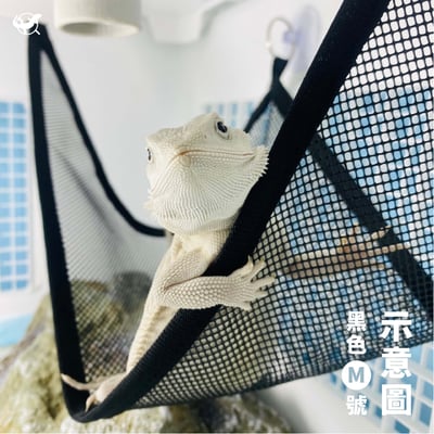 爬蟲吊床4