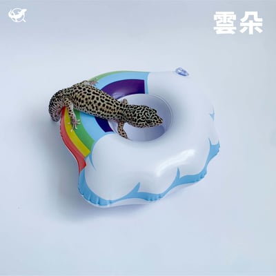 爬蟲造型泳圈17