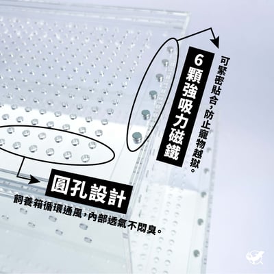 爬蟲壓克力飼養箱3