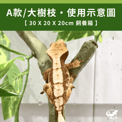 爬蟲仿真樹枝造景4