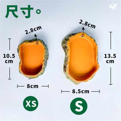 爬蟲仿真岩石食水盆5