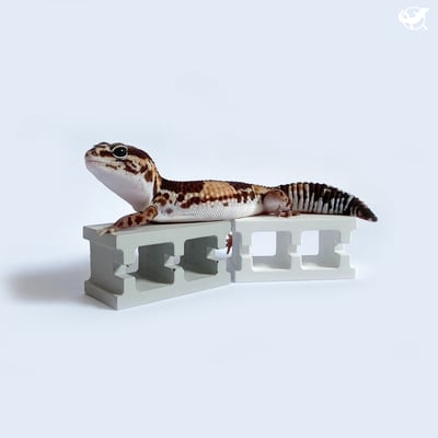 爬蟲迷你水泥空心磚1