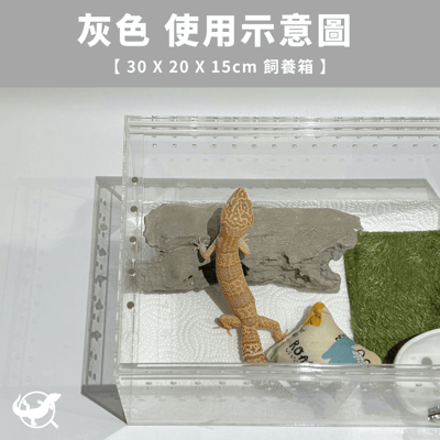 仿真樹洞躲避屋2