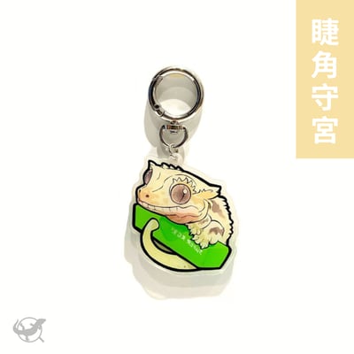 爬蟲壓克力鑰匙圈（守宮、鬆獅蜥）7