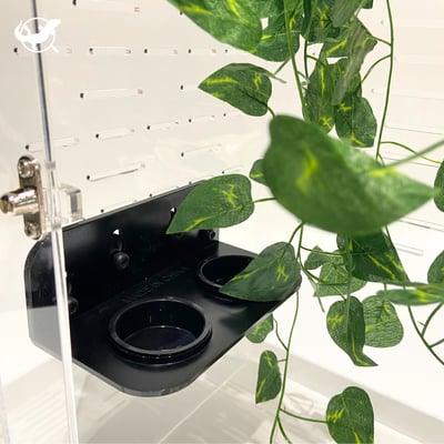 樹棲爬蟲懸掛式食水盆1