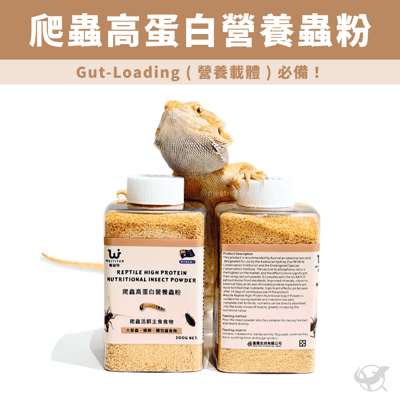 維益特 爬蟲高蛋白營養蟲粉1