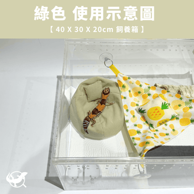 爬寵懶骨頭沙發6