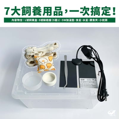 守宮飼養基本組5