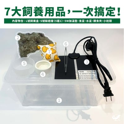 守宮飼養基本組2