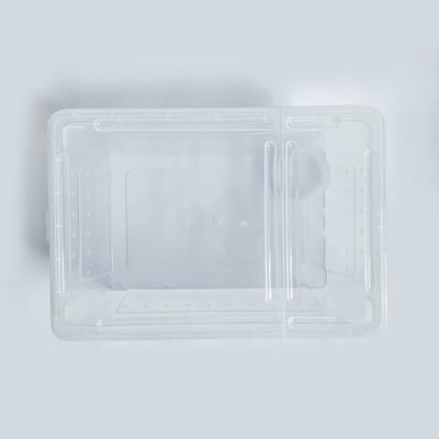 爬蟲飼養盒4