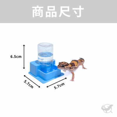 守宮自動飲水器4