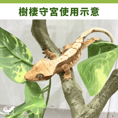 爬蟲仿真樹枝造景2