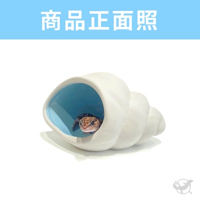 爬蟲神奇海螺躲避屋2