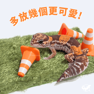 守宮迷你三角錐擺設4