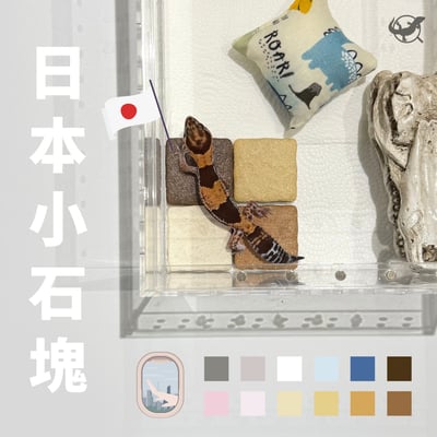 日本小石塊（守宮脫皮、磨甲必備）1