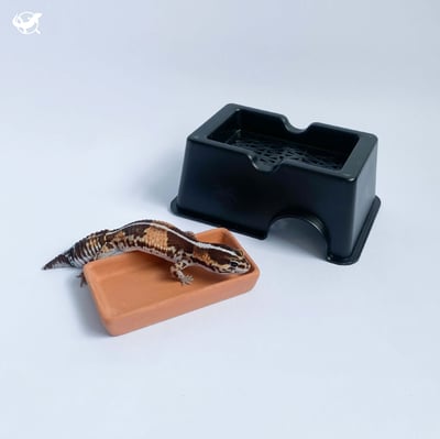 陶瓷加濕躲避屋9