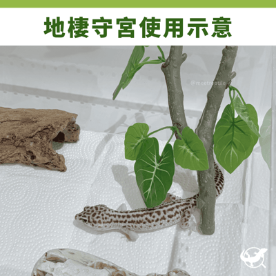 爬蟲仿真樹枝造景3