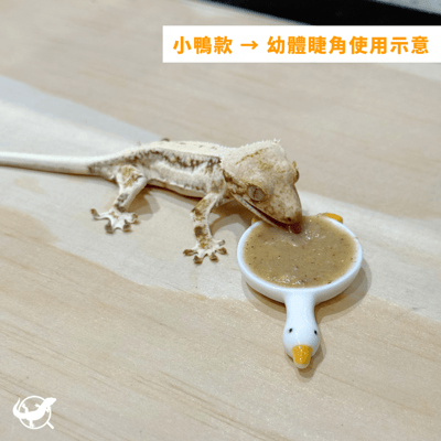 樹棲小鴨 / 花花造型果泥盤4