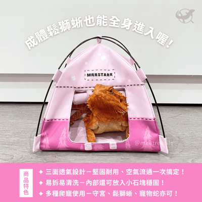 爬寵帳篷躲避屋2