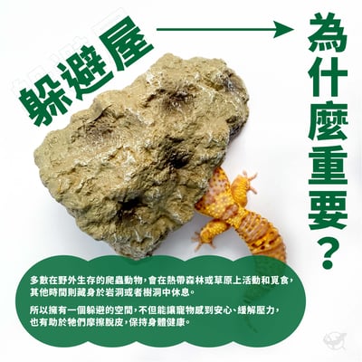 爬蟲仿石躲避屋 S／M／L4