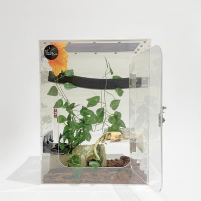 樹棲壓克力飼養箱（睫角、蓋勾亞適用）1