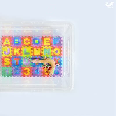 守宮迷你巧拼地墊2