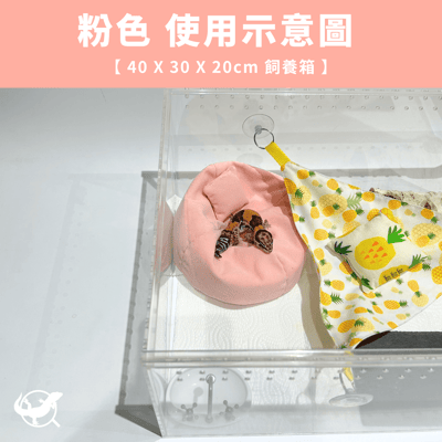 爬寵懶骨頭沙發5