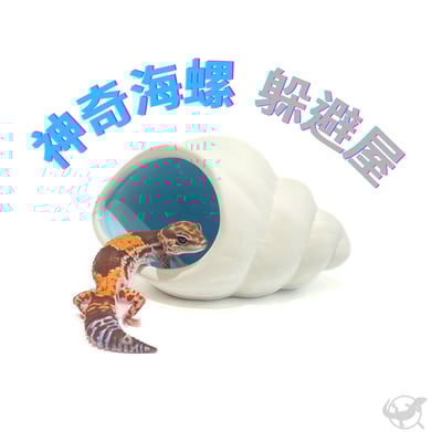 爬蟲神奇海螺躲避屋1