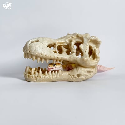 守宮寬敞舒適組9