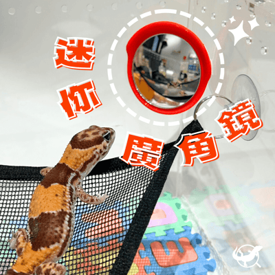 迷你廣角鏡擺設1