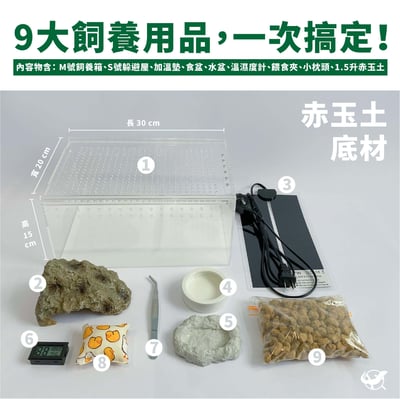 守宮飼養入門組2