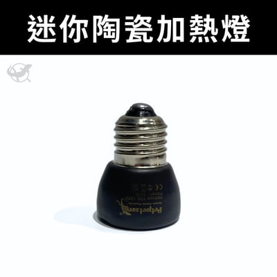 Petpetzone 迷你陶瓷加熱燈1