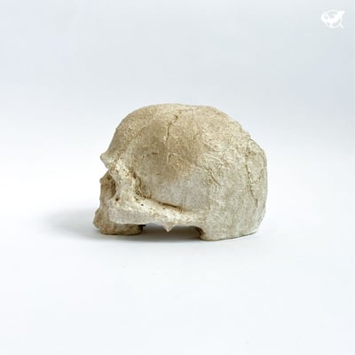 仿真骷顱頭躲避屋5