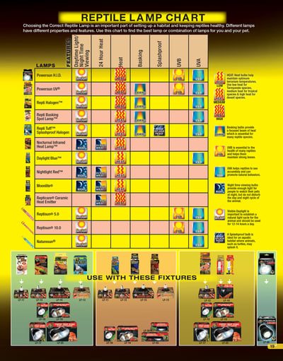 ZOOMED 紫外線 UL 燈泡（UVB 燈）5