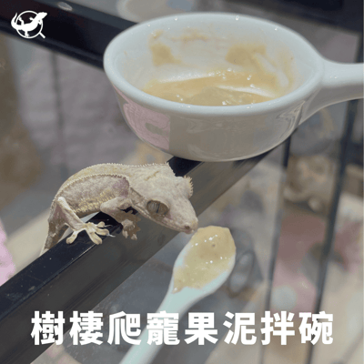 樹棲爬寵果拌碗3