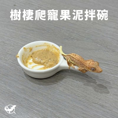 樹棲爬寵果拌碗1